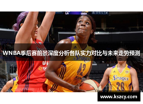 WNBA季后赛前景深度分析各队实力对比与未来走势预测
