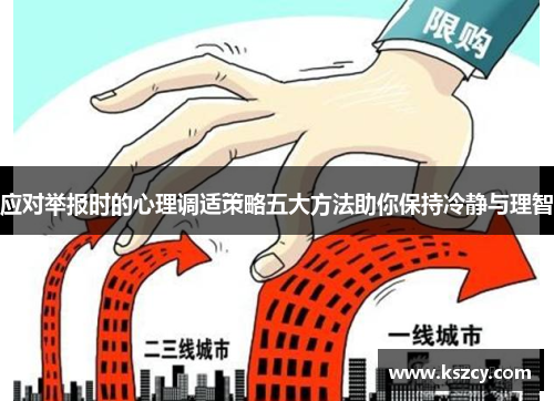 应对举报时的心理调适策略五大方法助你保持冷静与理智