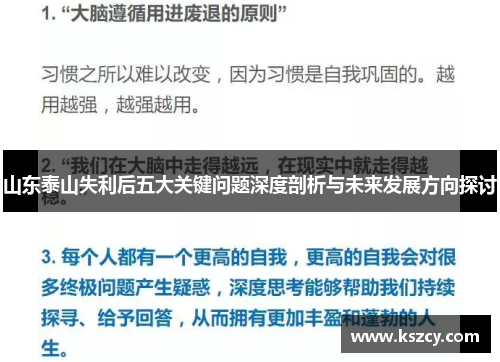 山东泰山失利后五大关键问题深度剖析与未来发展方向探讨