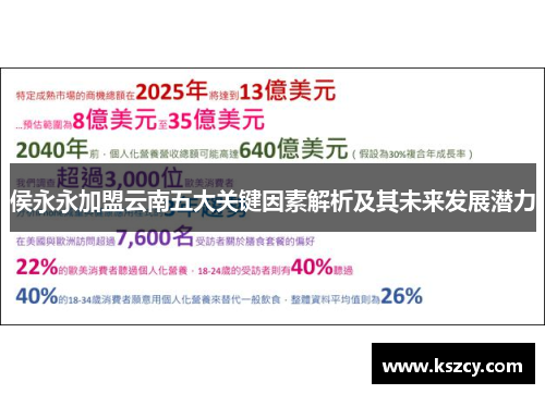 侯永永加盟云南五大关键因素解析及其未来发展潜力