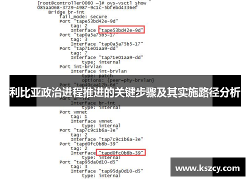 利比亚政治进程推进的关键步骤及其实施路径分析